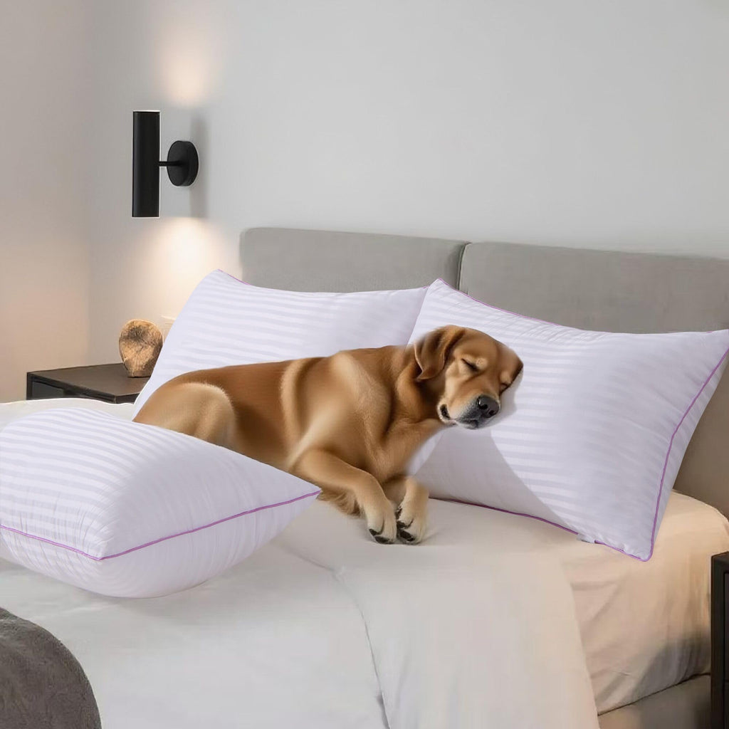 King Size Down Alternative Pillows Set of 2 V298