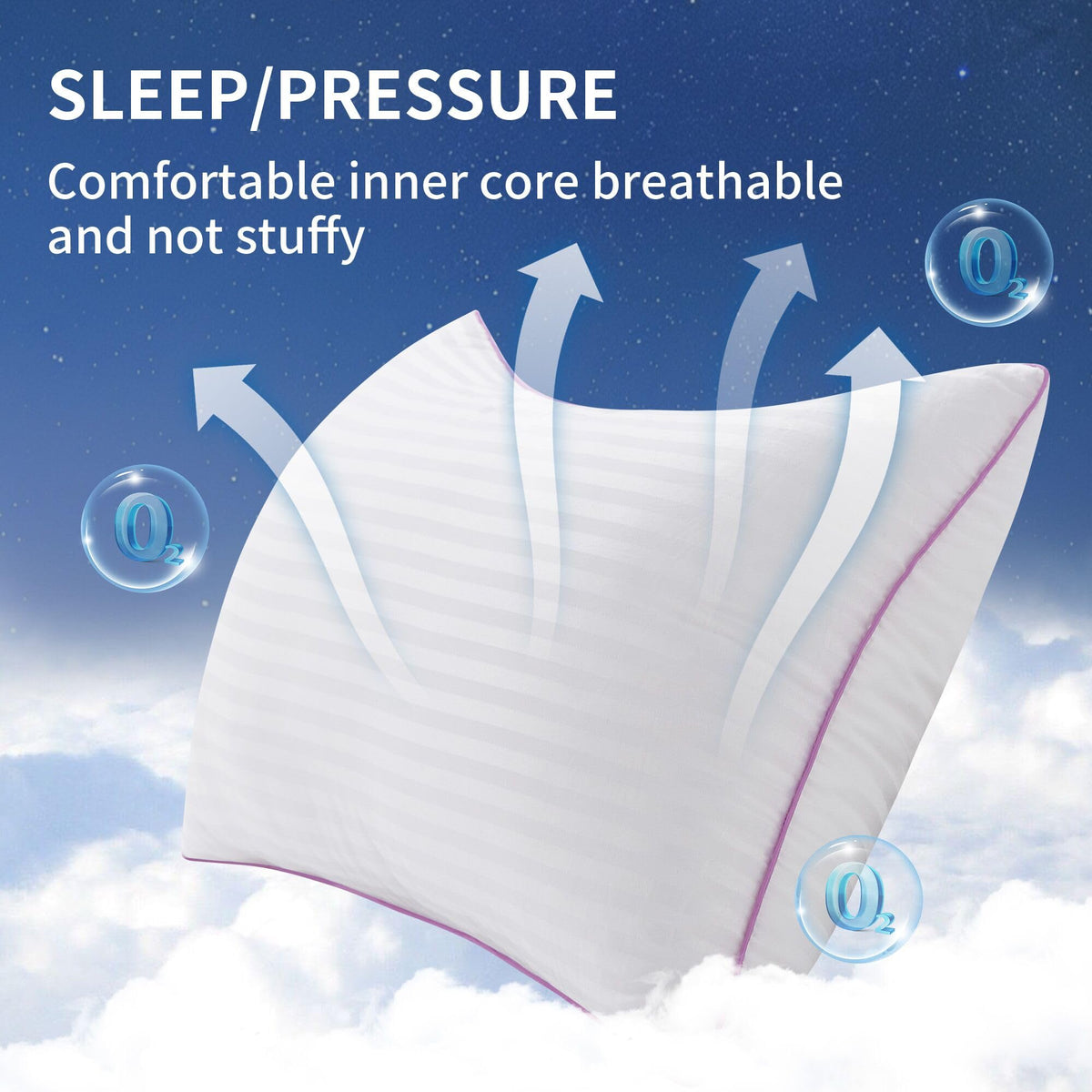 King Size Down Alternative Pillows Set of 2 V298
