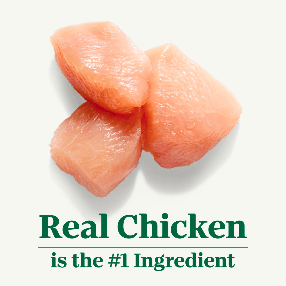 Indoor Adult Dry Cat Food Chicken & Rice 3 lb B54563
