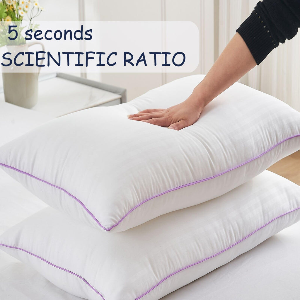 King Size Down Alternative Pillows Set of 2 V298