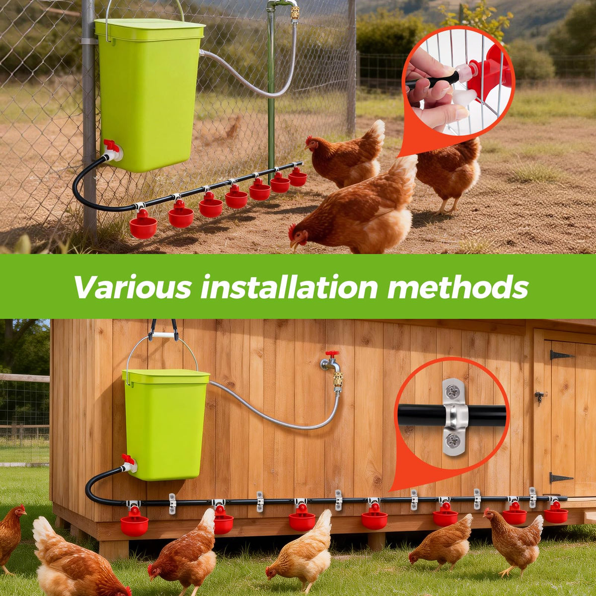 Automatic Chicken Waterer Set T31629