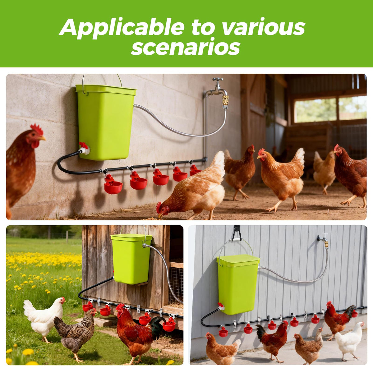 Automatic Chicken Waterer Set T31629