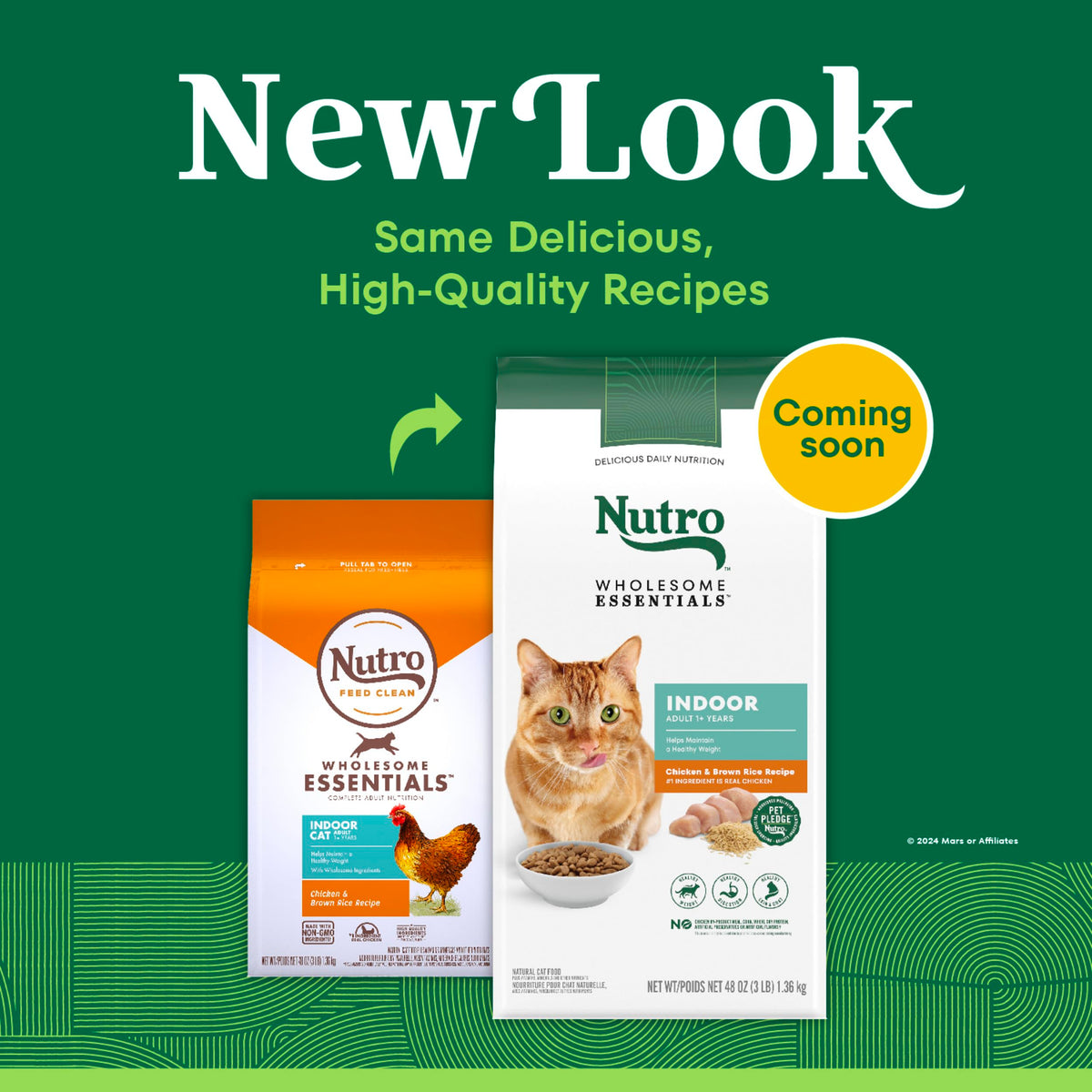 Indoor Adult Dry Cat Food Chicken & Rice 3 lb B54563