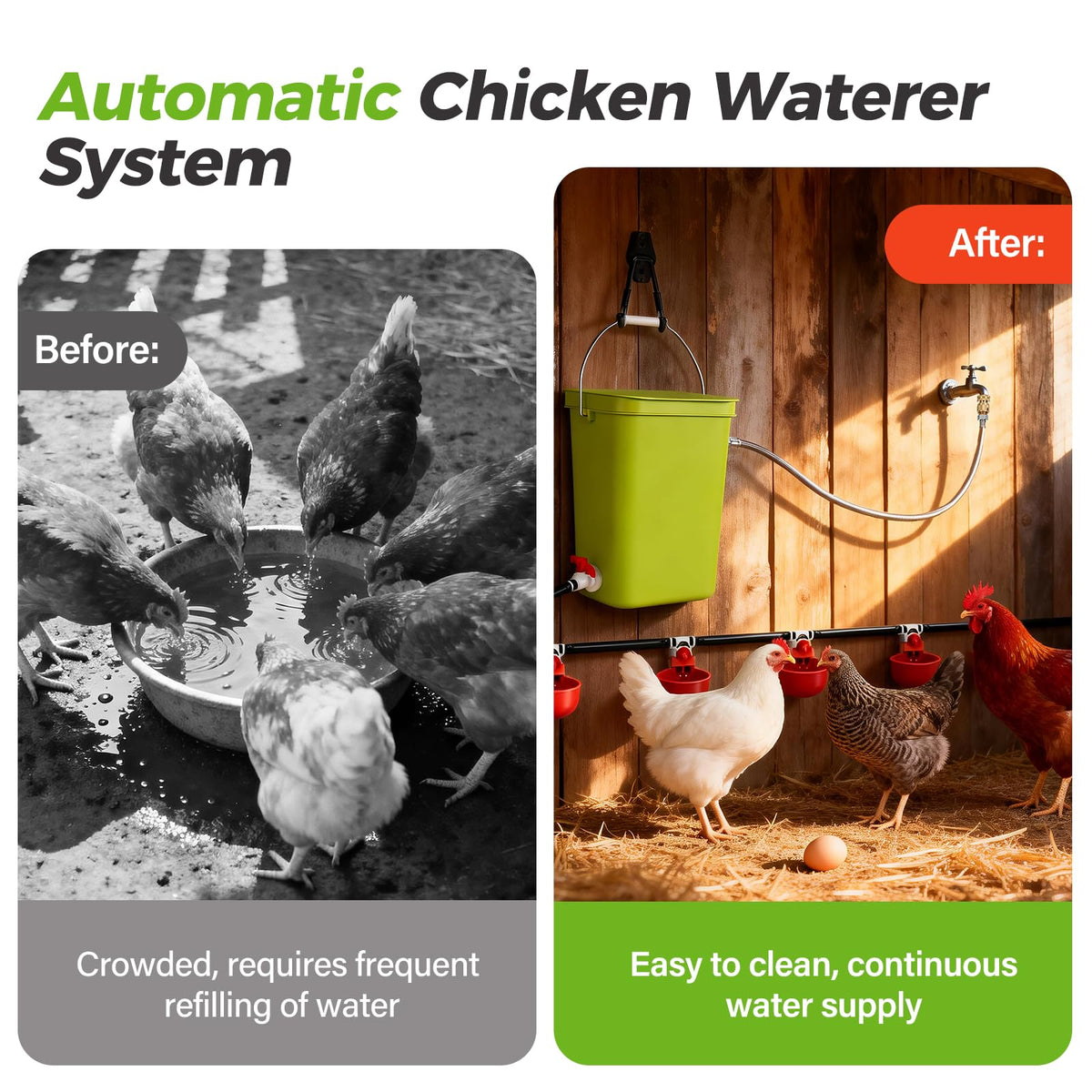 Automatic Chicken Waterer Set T31629