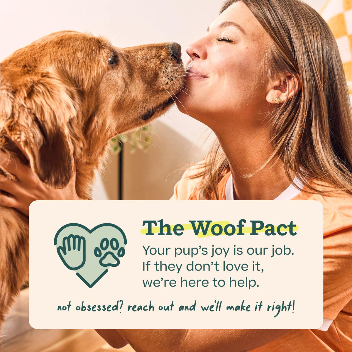 Peanut Butter & Beef Dog Treats 7 Count V19185